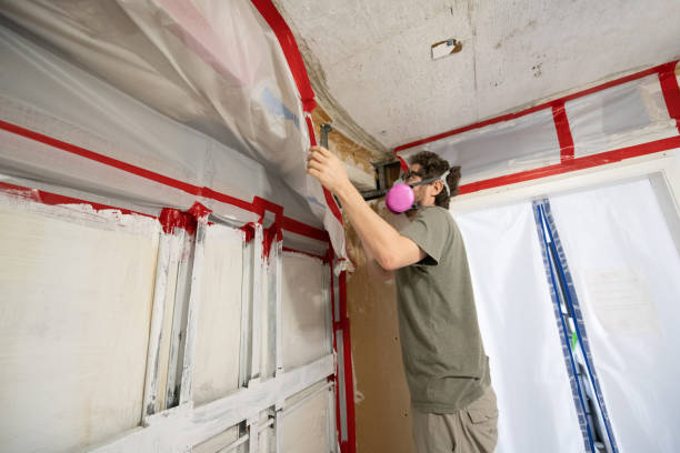 Best Mold Removal for HVAC Installations  in Leadwood, MO